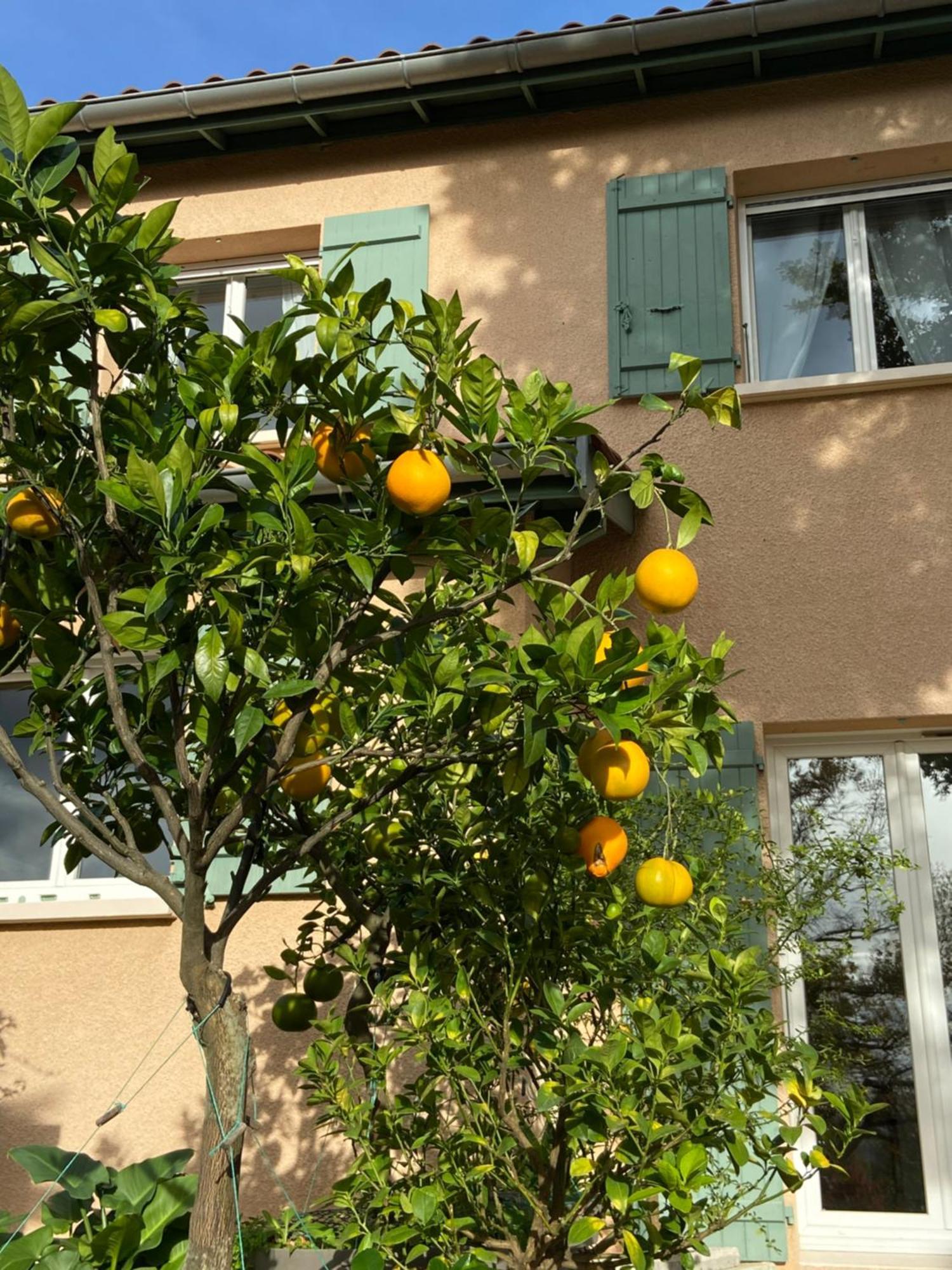Le Relais Des Malettes Chambres D'Hotes B&B Francheville  エクステリア 写真