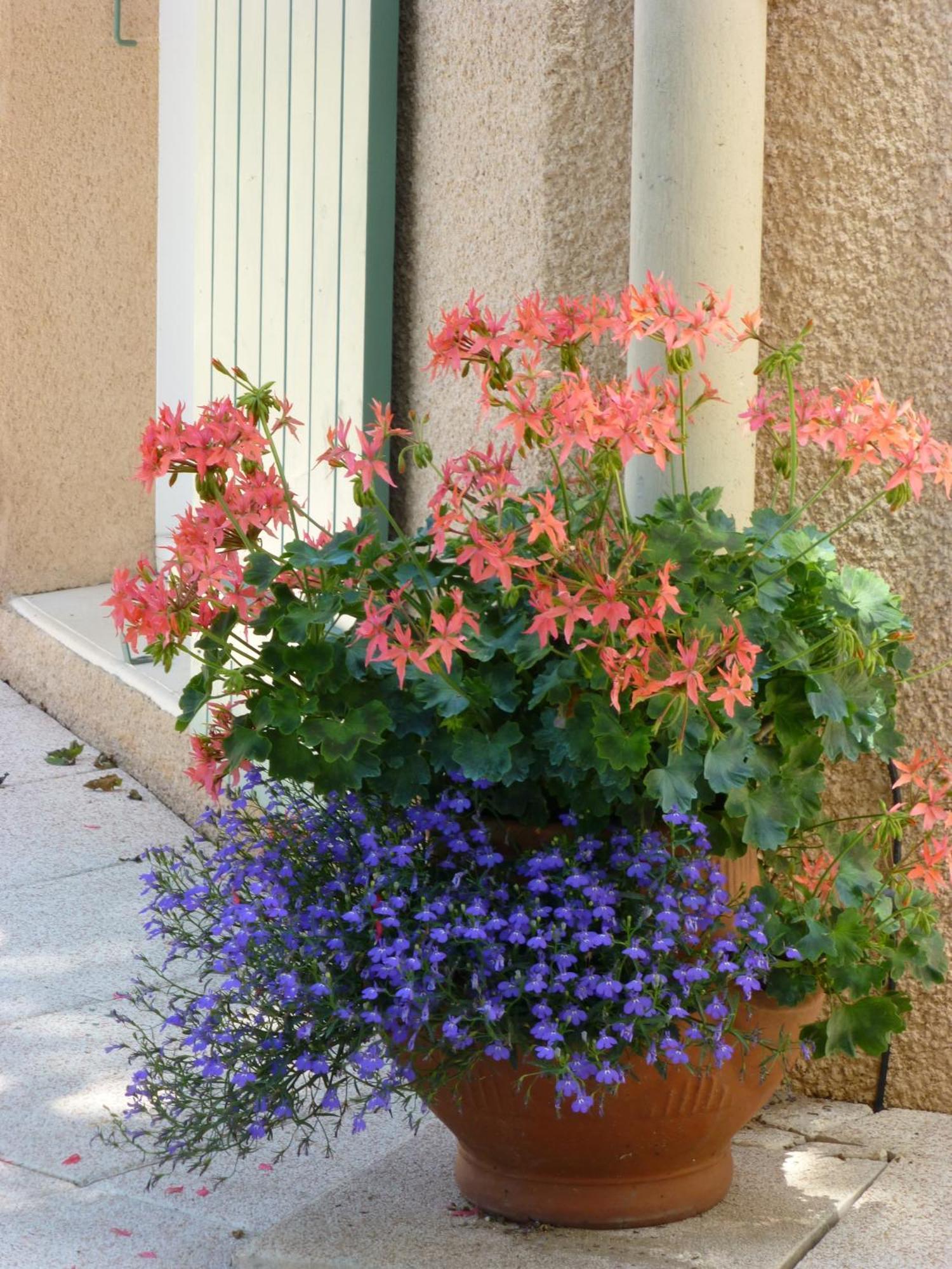 Le Relais Des Malettes Chambres D'Hotes B&B Francheville  エクステリア 写真