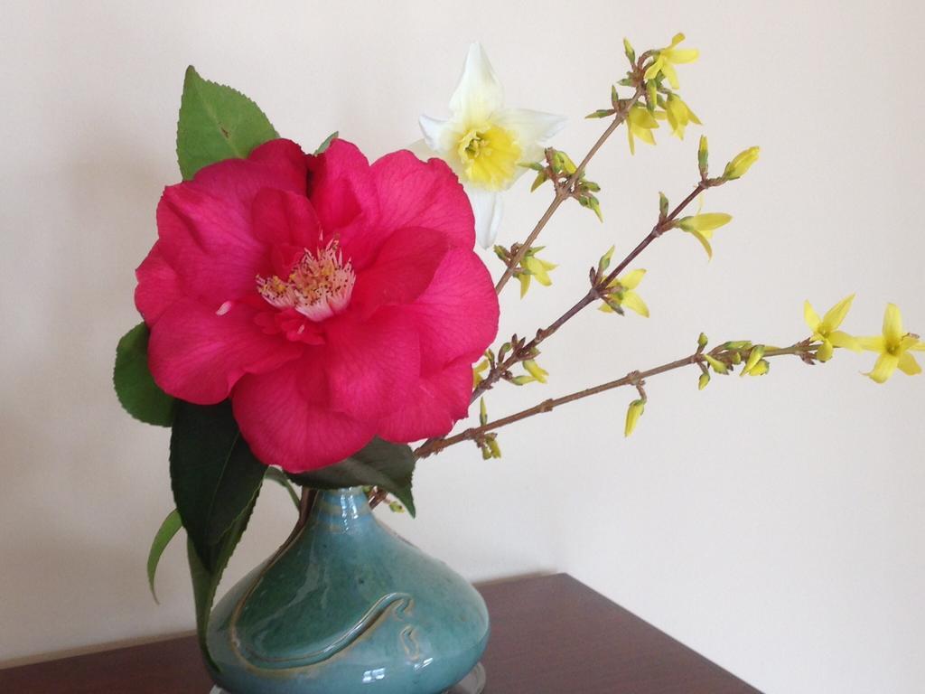 Le Relais Des Malettes Chambres D'Hotes B&B Francheville  エクステリア 写真